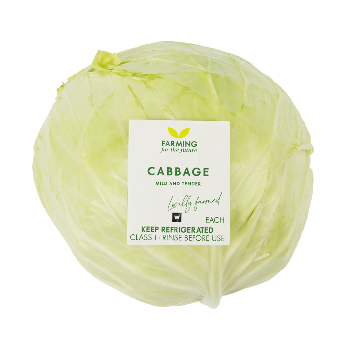 Cabbage