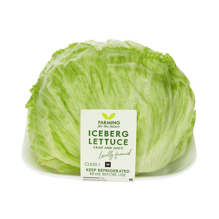 Iceberg Lettuce Head